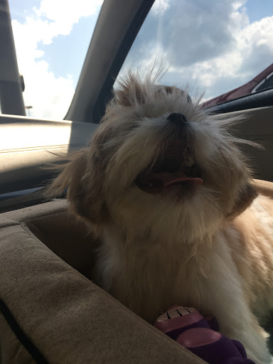 Pet Supply Store «Petco Animal Supplies», reviews and photos, 7303 Pinnacle Pkwy, Covington, LA 70433, USA