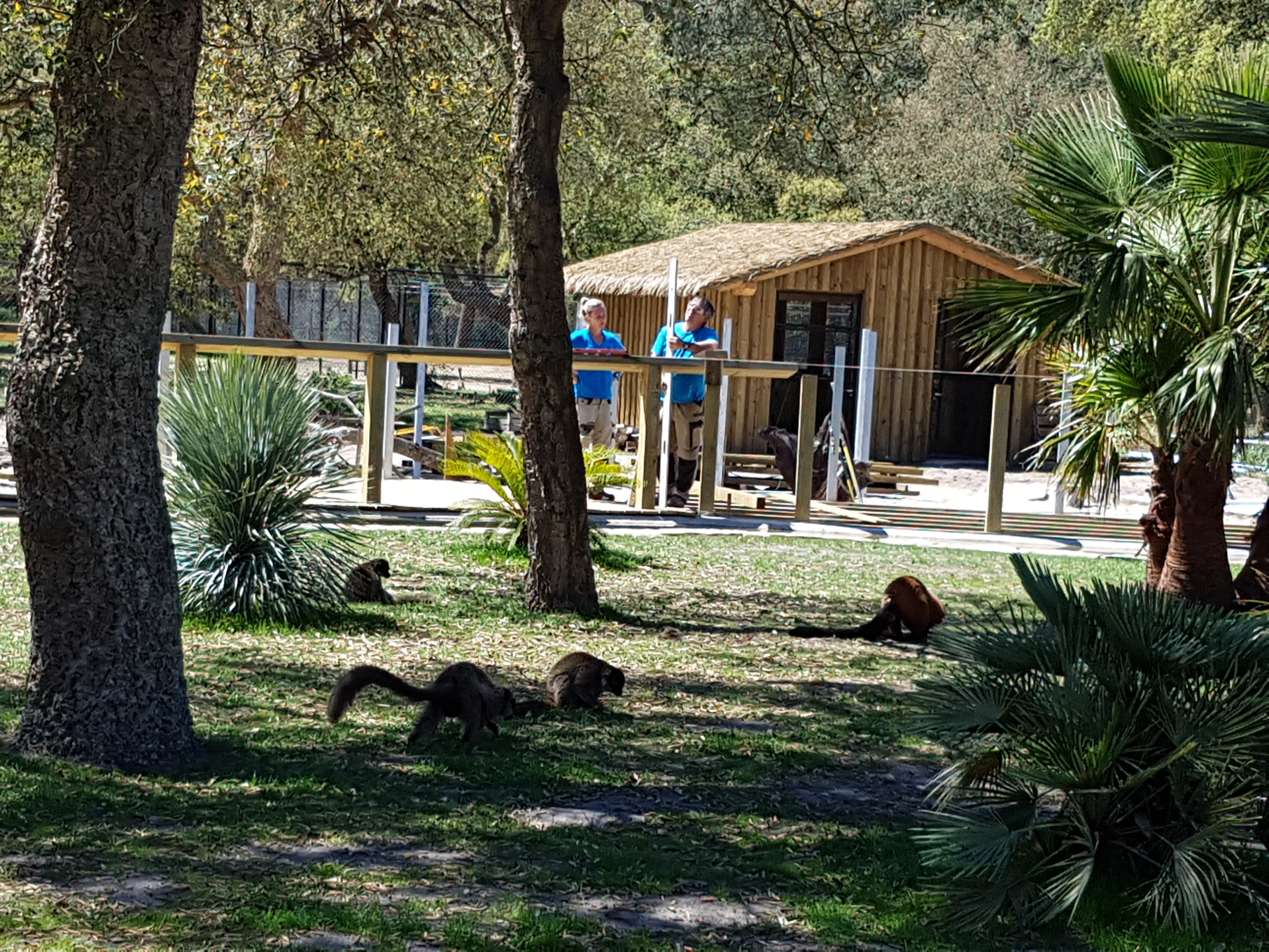 Photo n° 26 de l'avis de Karine.i fait le 19/05/2019 à 10:23