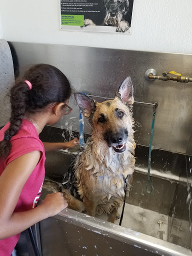 Pet Store «Pet Planet», reviews and photos, 5150 S Rural Rd #106, Tempe, AZ 85282, USA