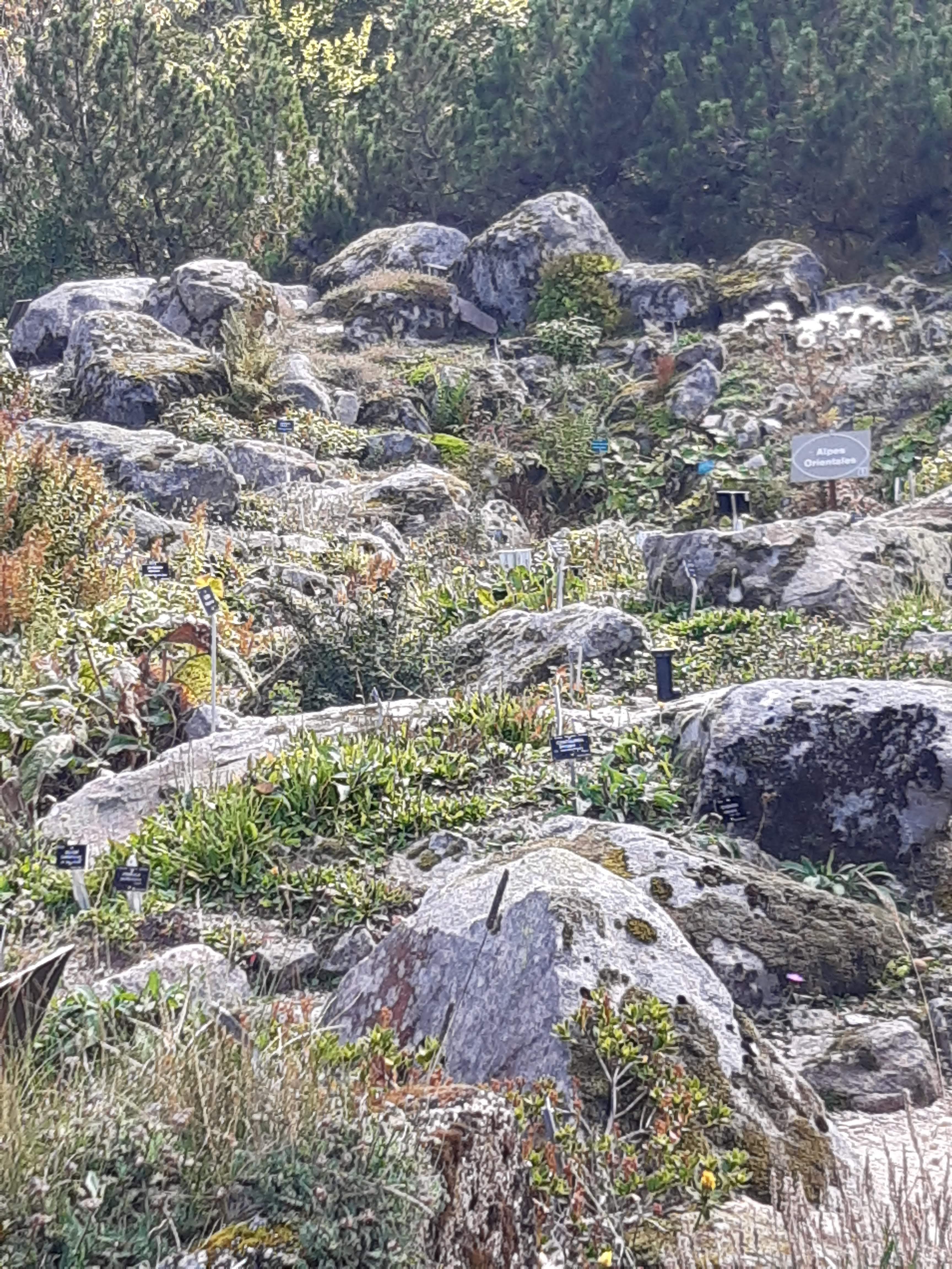 Photo n° 9 de l'avis de Patrice.a fait le 09/09/2023 à 15:15