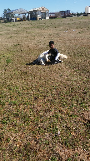 Wedding Venue «Rancho Alegre Farm», reviews and photos, 2225 Givens Rd, Dacula, GA 30019, USA