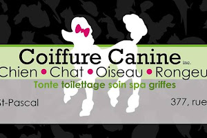 ✅ Coiffure Canine Limoilou