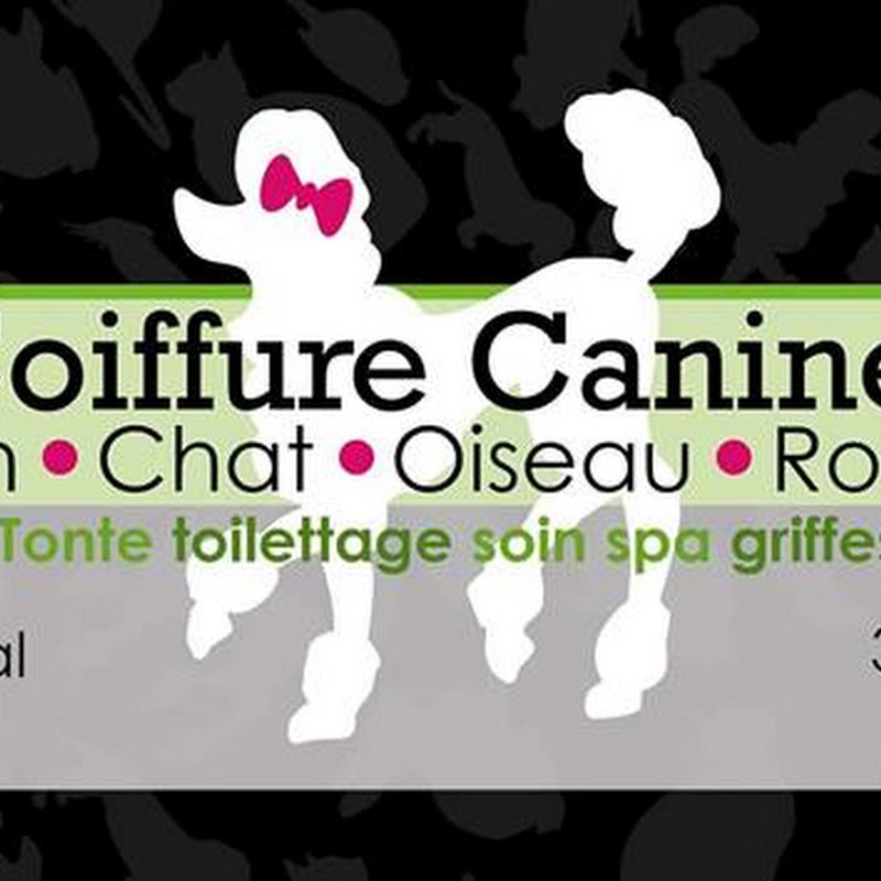 ✅ Coiffure Canine Limoilou