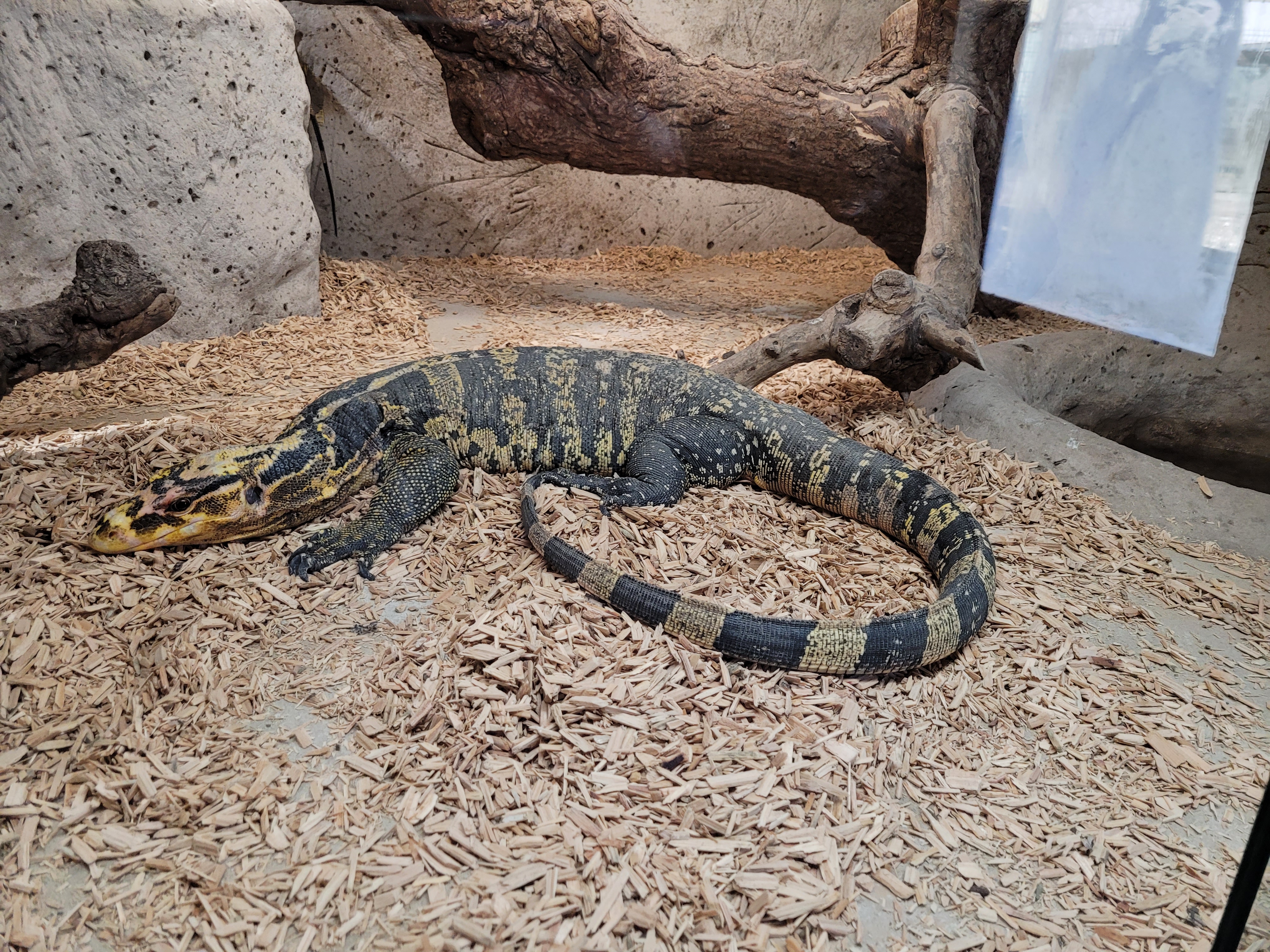 Photo n° 1 de l'avis de Julien.a fait le 15/03/2023 à 15:51