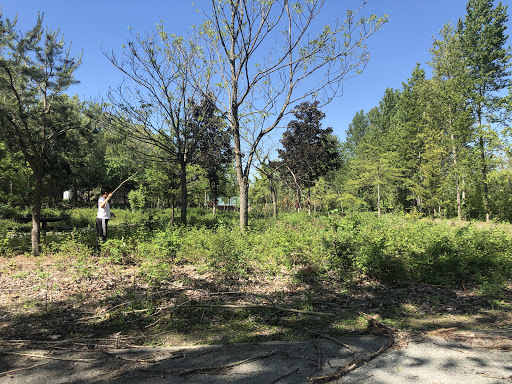 Park «Tukwila Pond Park», reviews and photos, 299 Strander Blvd, Tukwila, WA 98188, USA