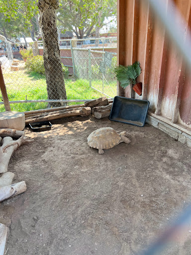 Park «Montebello Barnyard Zoo», reviews and photos, 600 Rea Dr, Montebello, CA 90640, USA