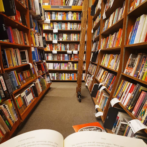 Book Store «Harvard Book Store», reviews and photos, 1256 Massachusetts Ave, Cambridge, MA 02138, USA