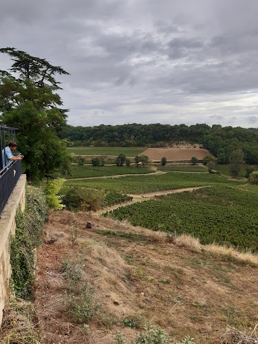 La Route des Vins Casher à Bordeaux