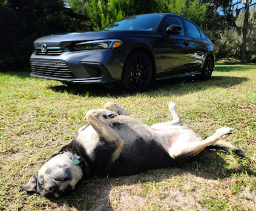 Car Dealer «Space Coast Honda», reviews and photos, 1885 W King St, Cocoa, FL 32926, USA