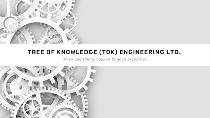 Tree of Knowledge (TOK) Engineering