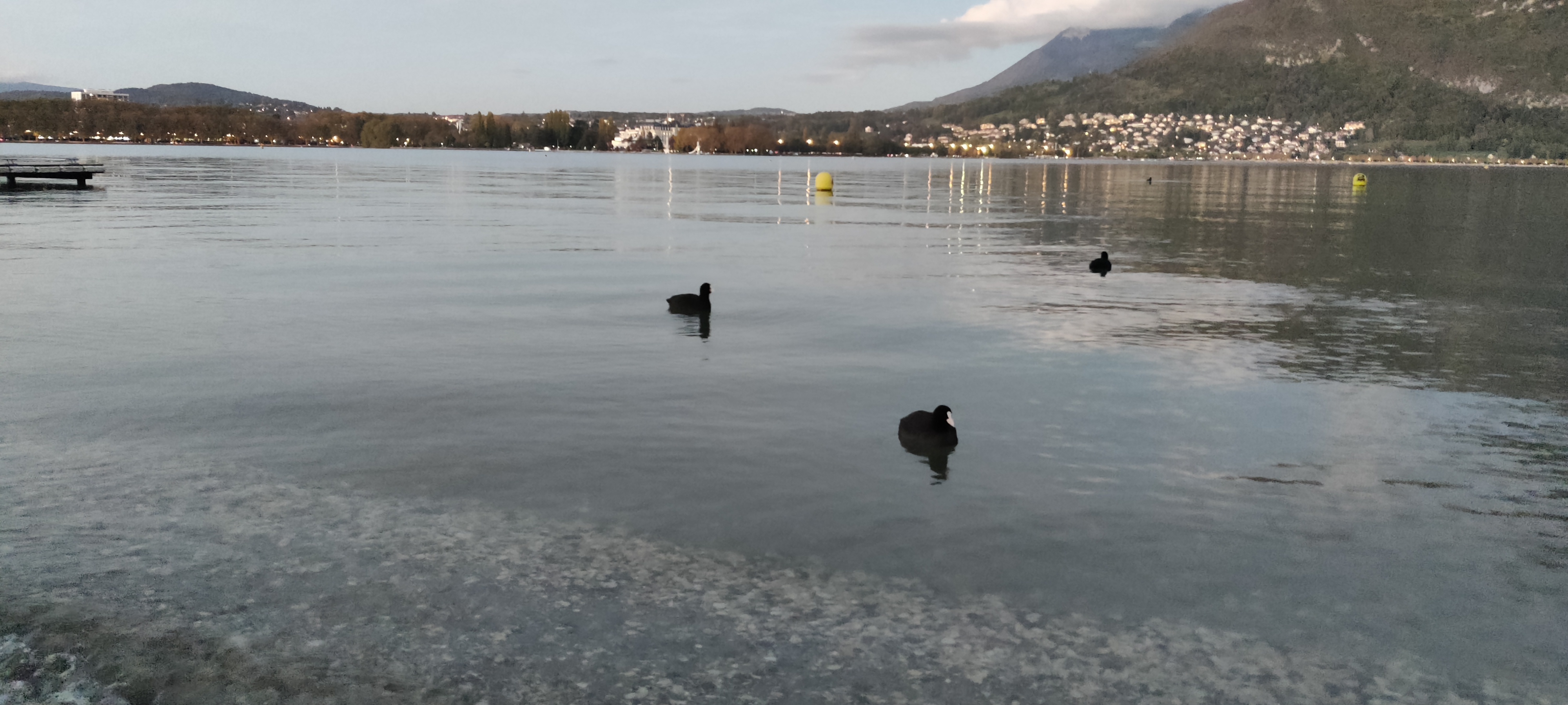 Photo n° 2 de l'avis de Yosmany.a fait le 01/11/2022 à 20:35