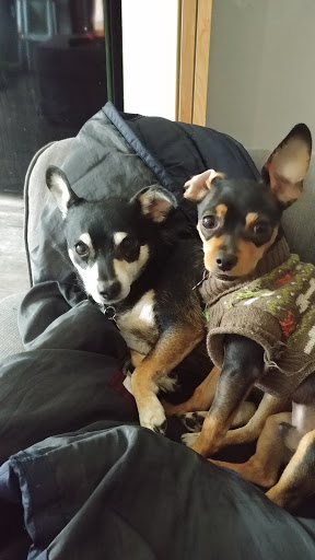 Hair Salon «Cathedral Park Salon», reviews and photos, Cathedral Park Salon, 7227 N Philadelphia Ave #103, Portland, OR 97203, USA