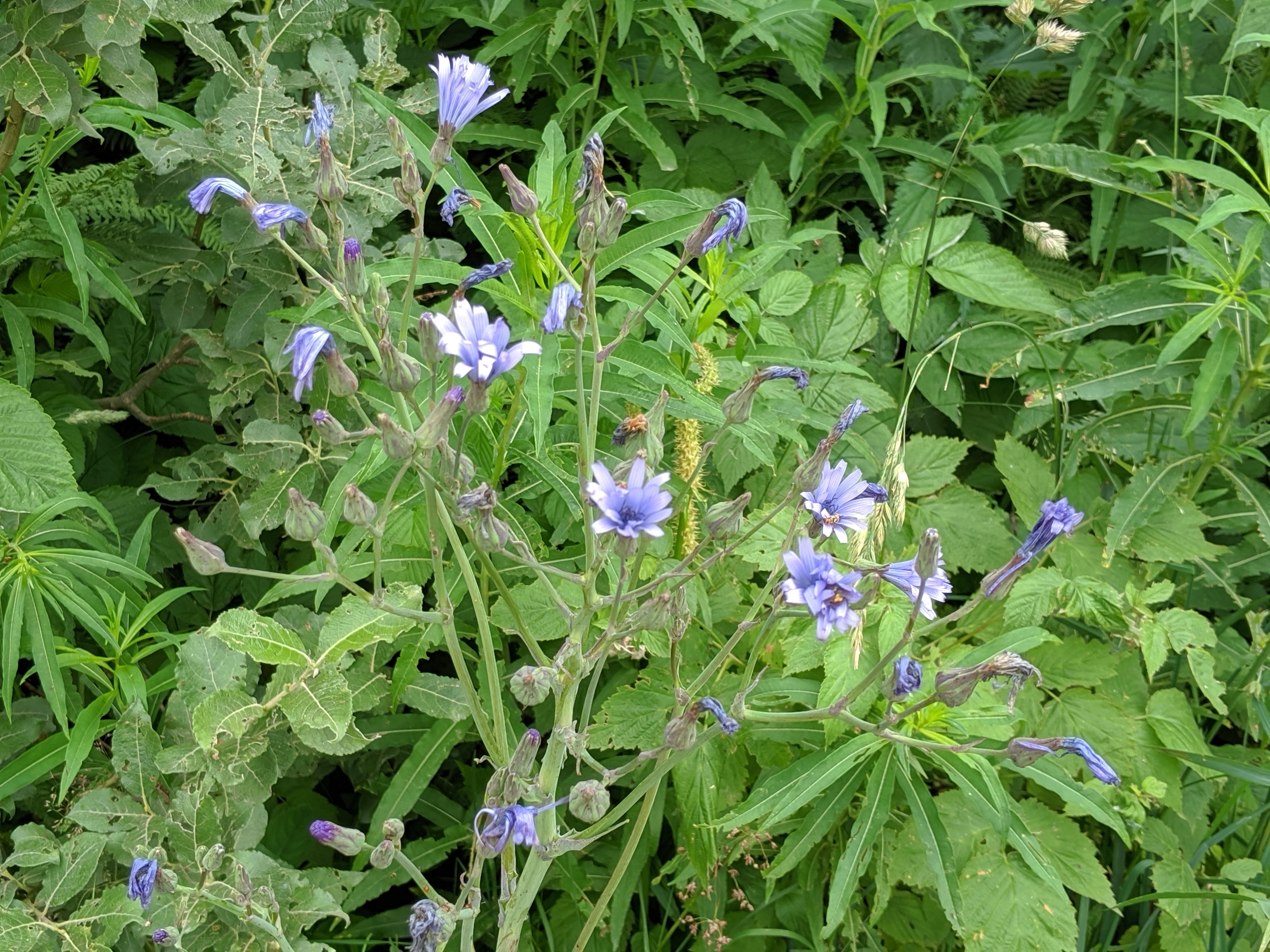 Photo n° 9 de l'avis de olivier.a fait le 02/08/2019 à 06:13