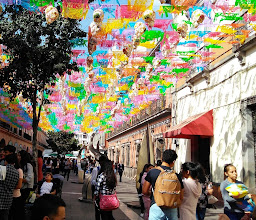 Andador constitución photo