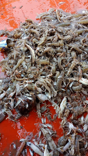 Top 20 cửa hàng bán ga Huyện Năm Căn Cà Mau 2022