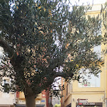 Photo n° 1 de l'avis de nicolas.l fait le 20/07/2023 à 18:29 pour Grand Café de la Bourse à Perpignan