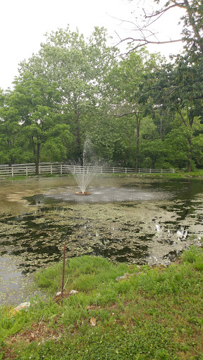 Golf Course «Willow Hollow Golf Course», reviews and photos, 619 Prison Rd, Leesport, PA 19533, USA