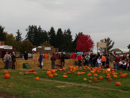 Market «E Z Orchards Farm Market», reviews and photos, 5504 Hazelgreen Rd NE, Salem, OR 97305, USA