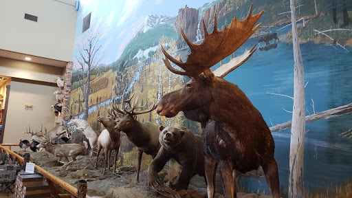 Hunting and Fishing Store «Woods & Water Inc», reviews and photos, 5101 Summit Ridge, Tuscaloosa, AL 35405, USA