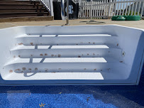 Pool Patch Pro's - Photo 4 - Car repair in Maiden, NC, Hickory