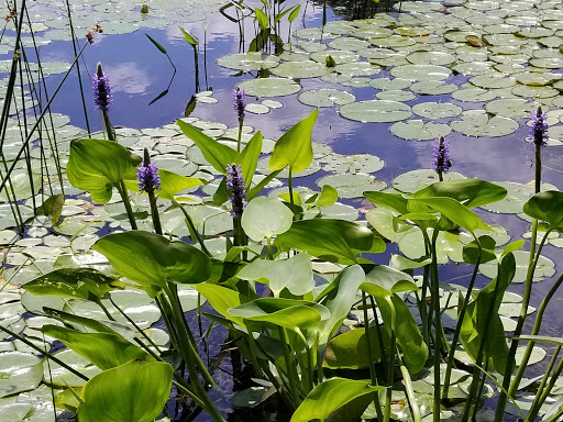 Winery «Dalice Elizabeth Winery», reviews and photos, 6 Amos Rd, Preston, CT 06365, USA