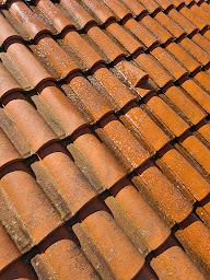 Photo n°7 de TTS SERVICES 85 - Nettoyage Toiture Façades, Traitement Anti Mousse, Hydrofuge, Multiservices et travaux sur demande à Luçon ()
