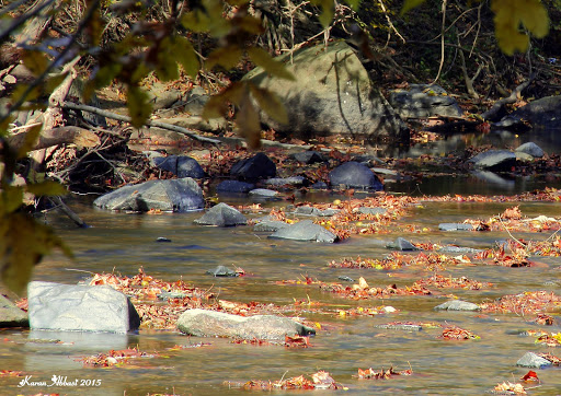 State Park «Hammerman Area Beach», reviews and photos, 7200 Graces Quarters Road, Middle River, MD 21220, USA