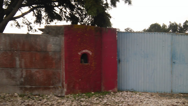 Campo Da Lagoa - GDRC UNIDOS - Coucinheira Número de telefone