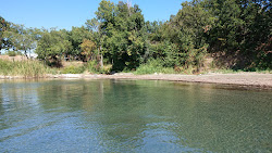 Vromus beach'in fotoğrafı vahşi alan