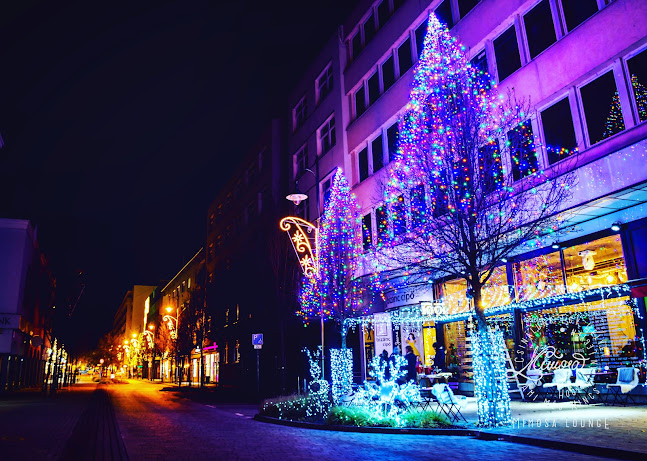 Mimosa Bar•Circus•Discotheque - Kocsma