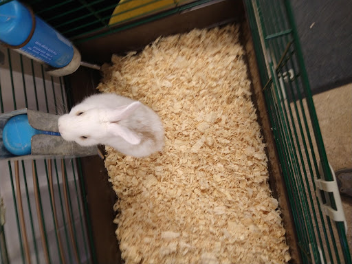 Pet Supply Store «Pets For You», reviews and photos, 413 N Main St, Rice Lake, WI 54868, USA