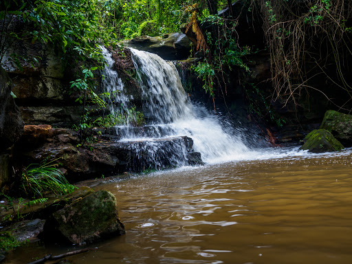 Lillypilly Waterfall