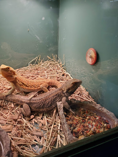 Pet Supply Store «Pet Supplies Plus», reviews and photos, 18956 Livernois Ave, Detroit, MI 48221, USA