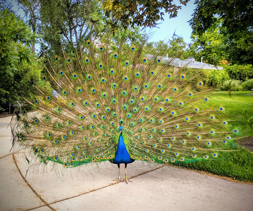 Tourist Attraction «Tracy Aviary», reviews and photos, 589 1300 S, Salt Lake City, UT 84105, USA