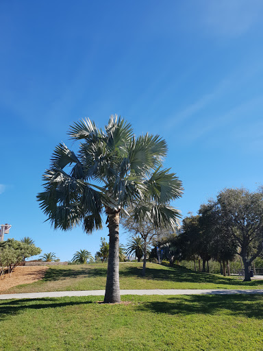 Performing Arts Theater «Van Wezel Performing Arts Hall», reviews and photos, 777 N Tamiami Trail, Sarasota, FL 34236, USA