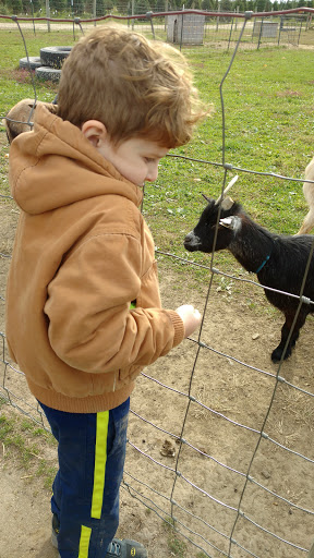 Christmas Tree Farm «Piney Acres», reviews and photos, 1115 E 1000 N, Fortville, IN 46040, USA