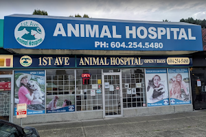 1st Ave Animal Hospital image