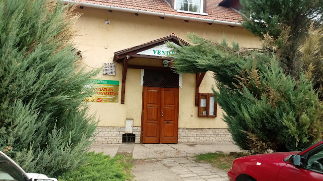 Czermann Panzió - Oroszlány