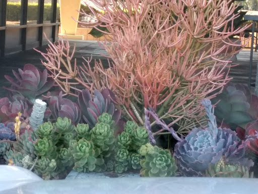 Tobacco Shop «Amsterdam Smoke Shop», reviews and photos, 5901 Warner Ave, Huntington Beach, CA 92649, USA