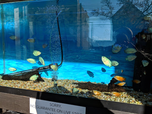 Aquarium «1st Class Aquarium», reviews and photos, 1167 Bay St, Staten Island, NY 10305, USA