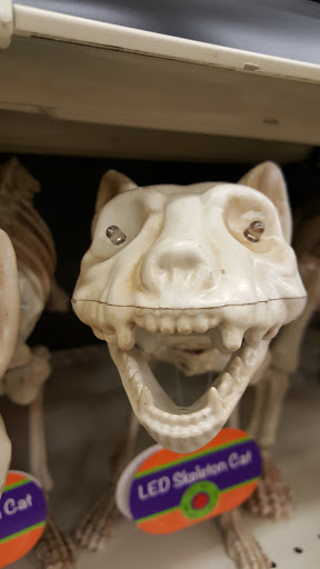 Discount Store «Big Lots», reviews and photos, 2000 Plank Rd, Fredericksburg, VA 22401, USA