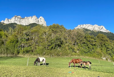 Nature Equestre à Talloires-Montmin
