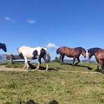 Photo n°3 de l'avis de Gregor.� fait le 20/08/2020 à 16:43 sur le  Ciampinoi Pizza Self Service à Sëlva