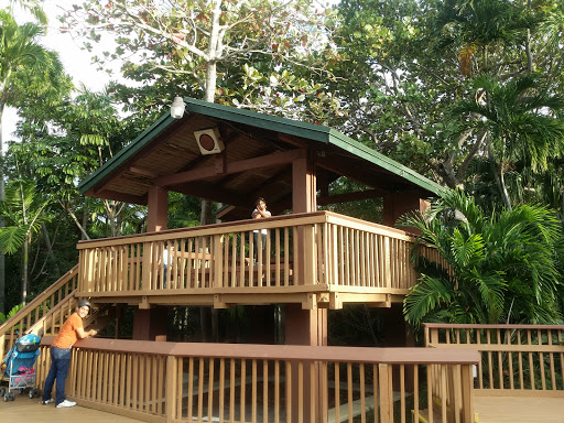 Aquarium «Miami Seaquarium», reviews and photos, 4400 Rickenbacker Causeway, Key Biscayne, FL 33149, USA