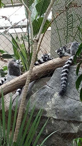 Gift Shop «Minnesota Zoo Gift Shop», reviews and photos, 13000 Zoo Blvd, Apple Valley, MN 55124, USA