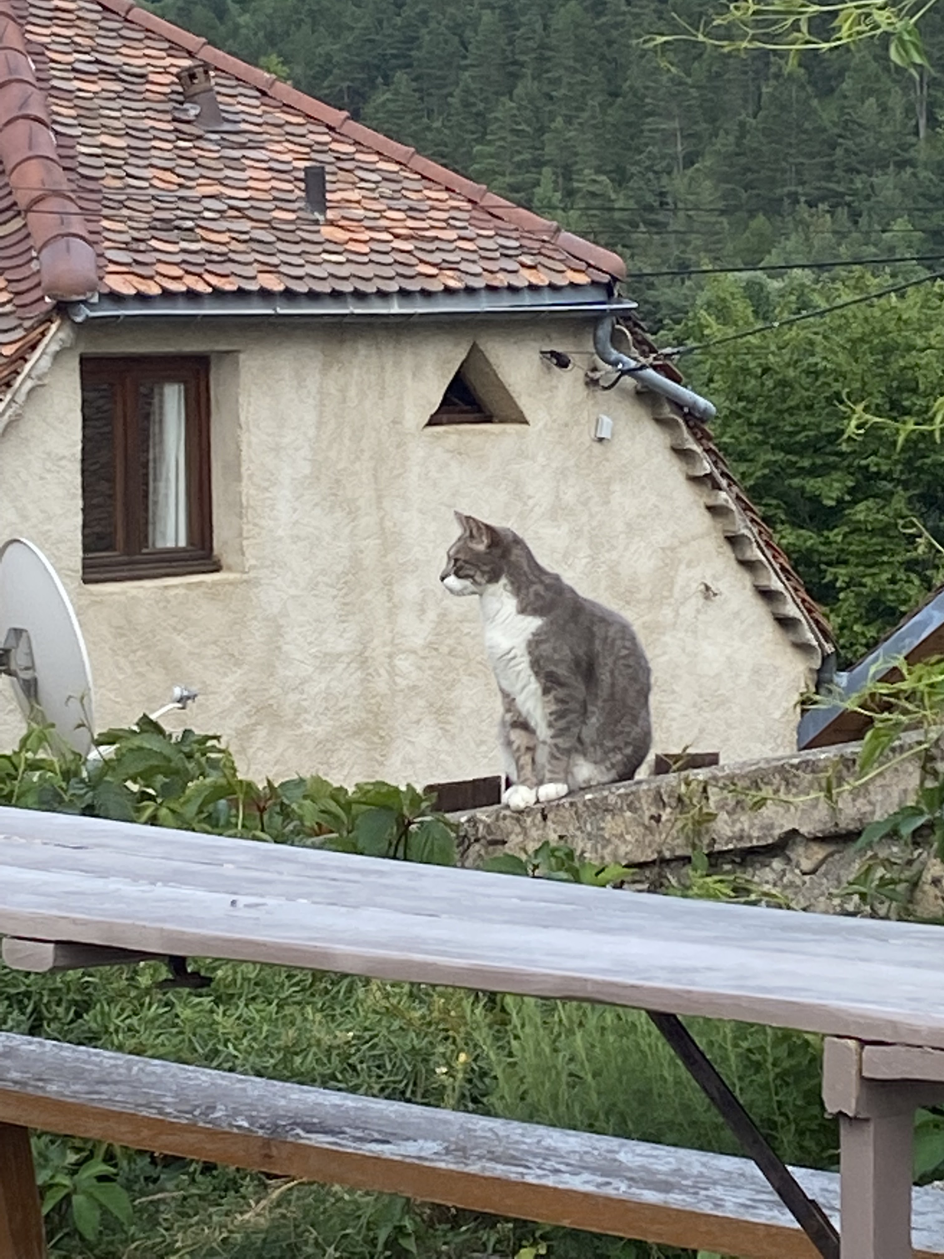 Photo n° 3 de l'avis de Cécile.a fait le 01/08/2021 à 21:28