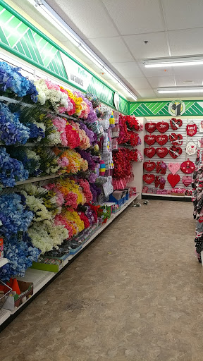 Dollar Store «Dollar Tree», reviews and photos, 440 Middlesex Rd, Tyngsborough, MA 01879, USA