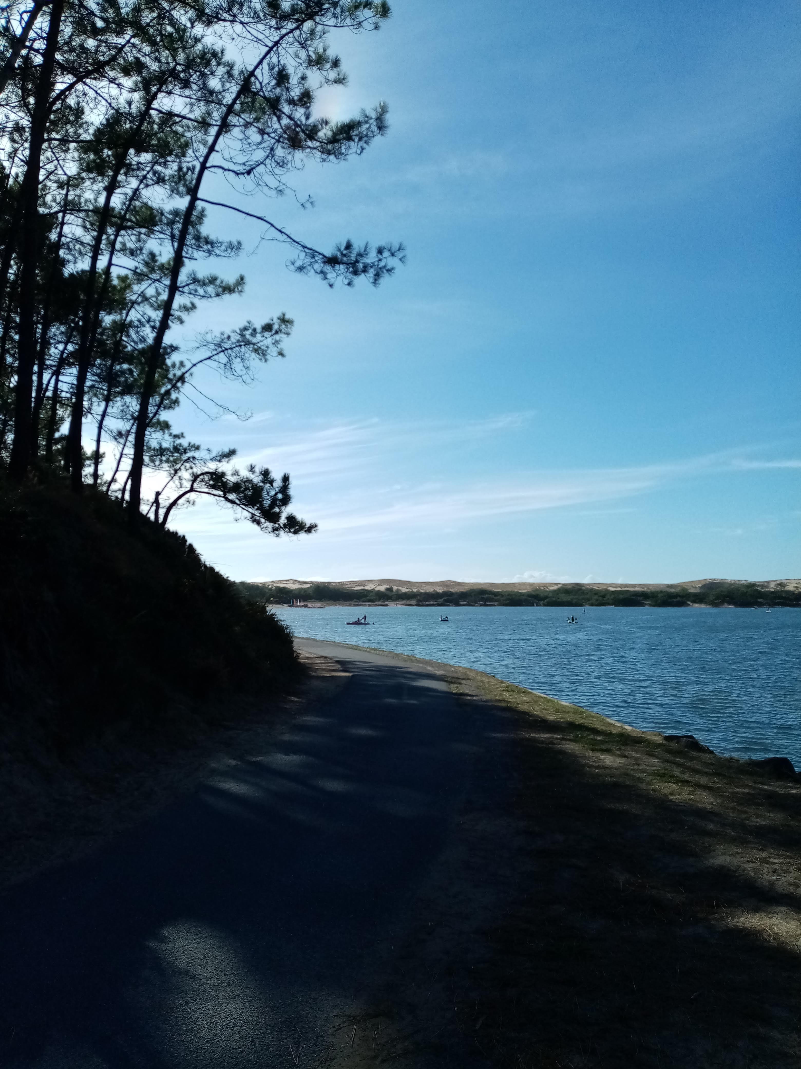 Photo n° 4 de l'avis de Thierry.e fait le 26/02/2021 à 18:55