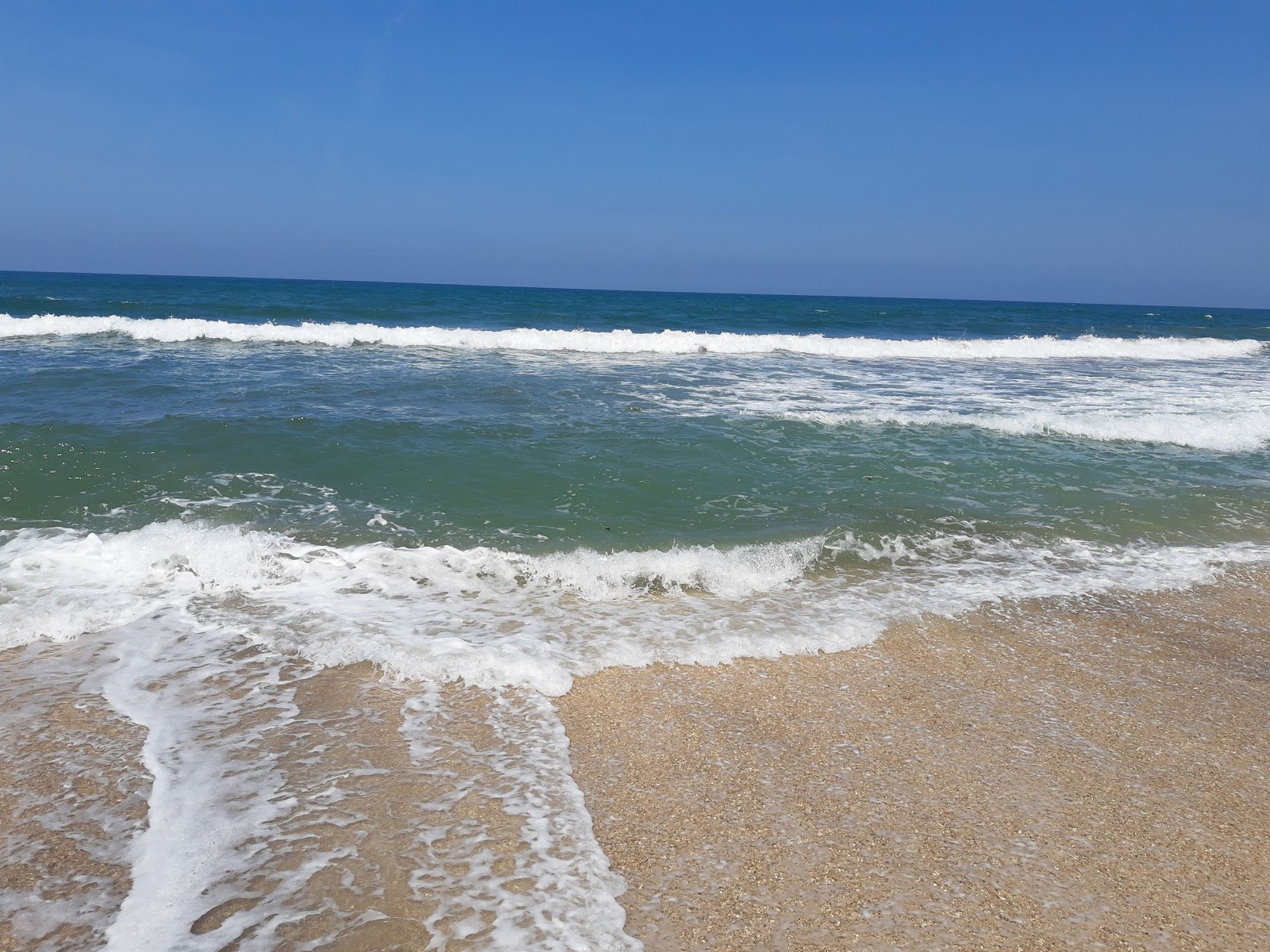 Fotografie cu Playa Chaparrales amplasat într-o zonă naturală