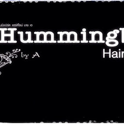 Hummingbird Hair Design